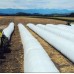 Polyethylene Grain Bags